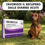 REVENTLIX   Diarrea e feci molli - immagine 2
