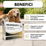 NEUROEASE 5+  Vitalità senior - immagine 2