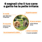 BALMPROCARE Crema Prurito Cane e Gatto - immagine 3
