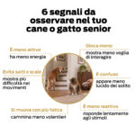 NEUROEASE 5+  Vitalità senior - immagine 3