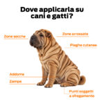 BALMPROCARE Crema Prurito Cane e Gatto - immagine 4