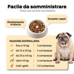 NEUROEASE 5+  Vitalità senior - immagine 6